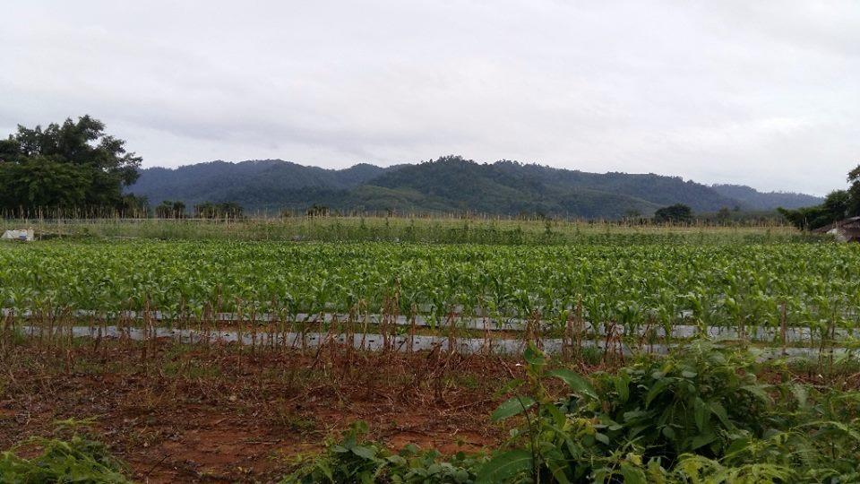 Dachatorn Village Καο Λακ Εξωτερικό φωτογραφία